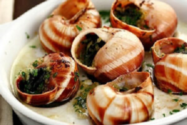 escargot photo