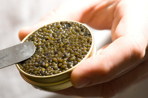 Kaluga Caviar Explained