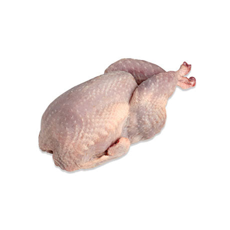 Whole Spanish Quail - Caviar Lover - Whole Spanish Quail