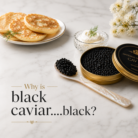 Why is Black Caviar... Black