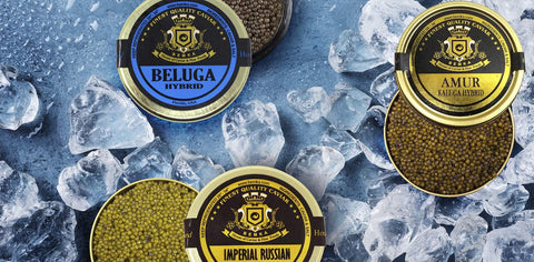 beluga caviar example