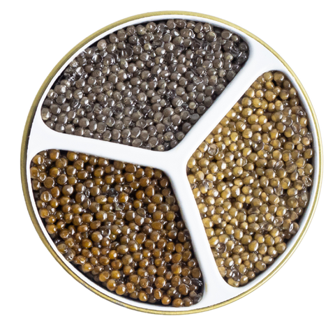 Imperial Reserve Trio