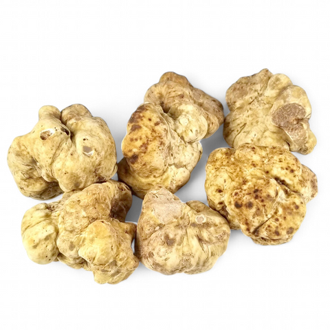 Fresh White Alba Truffles   ~1.5 oz - Caviar Lover - Fresh White Alba Truffles   ~1.5 oz