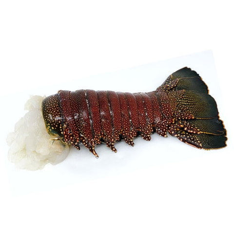 Frozen Lobster Tail 16 Oz - Caviar Lover - Frozen Lobster Tail 16 Oz