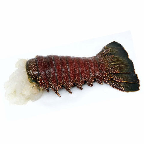 Frozen Lobster Tail 8 Oz - Caviar Lover - Frozen Lobster Tail 8 Oz