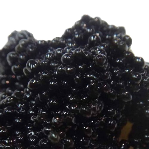 Black Lumpfish Caviar 500G Caviar Iceland´s Finest