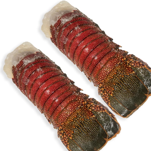 Frozen Lobster Tail (Pack X2) - 8 Oz/Each Seafood Caviar Lover Bemka
