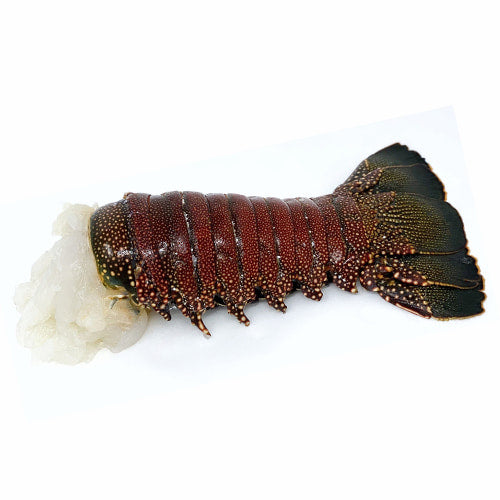 Frozen Lobster Tail 8 Oz Seafood Caviar Lover Bemka
