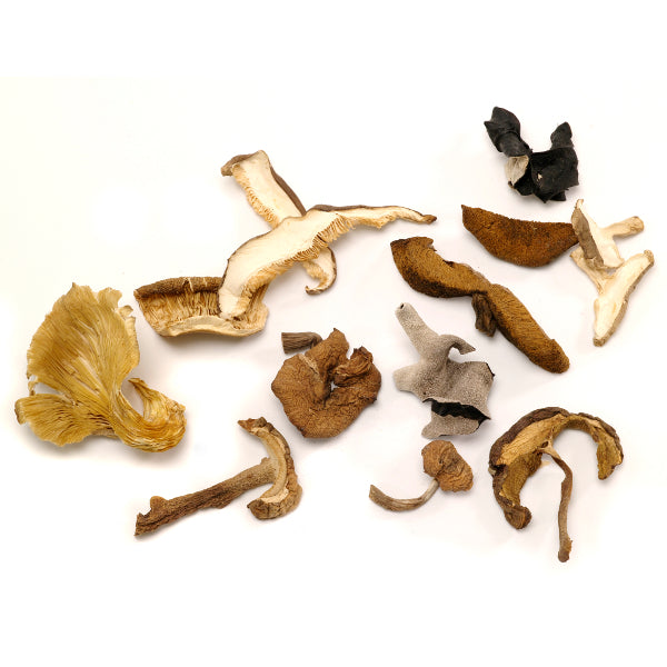 Dried Forest Mix Mushrooms Mushroom Bemka
