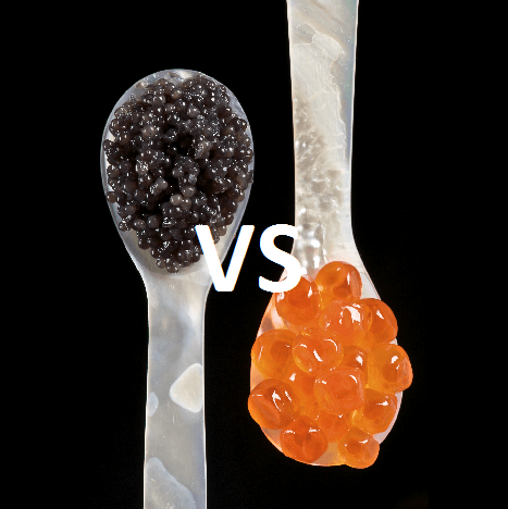 fish roe vs caviar