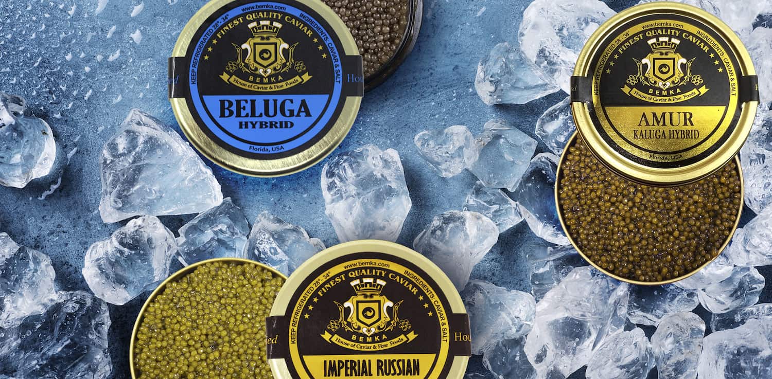 The most common types of Caviar COVER - Caviar Lover