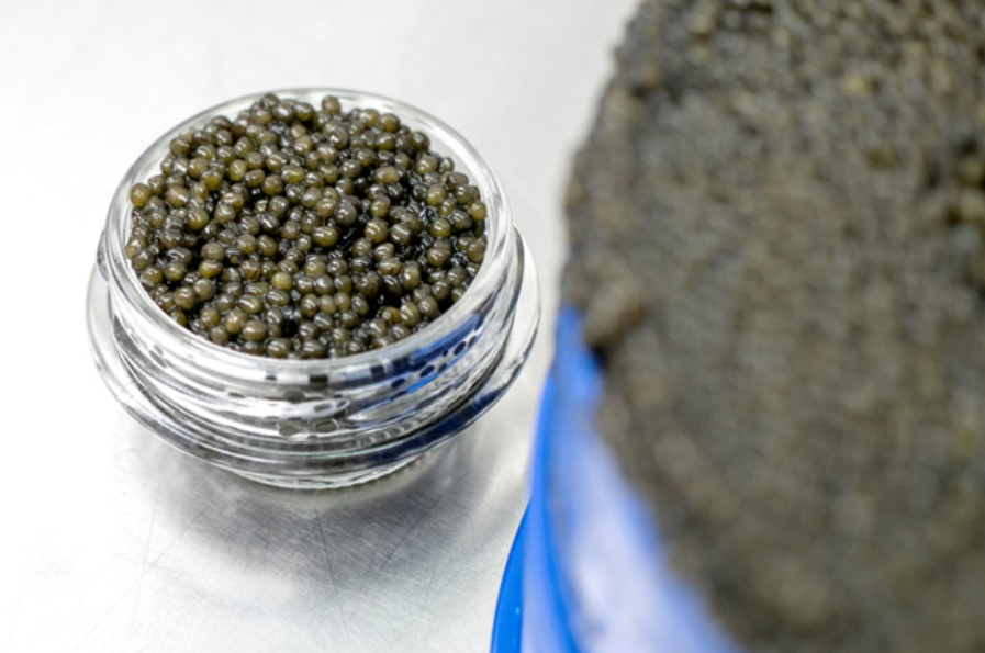 Quality Caviar